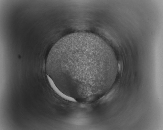 X0000091931251200709261908