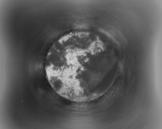 X0000091931254200709261908