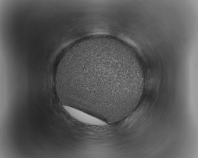 X0000091931255200709261908