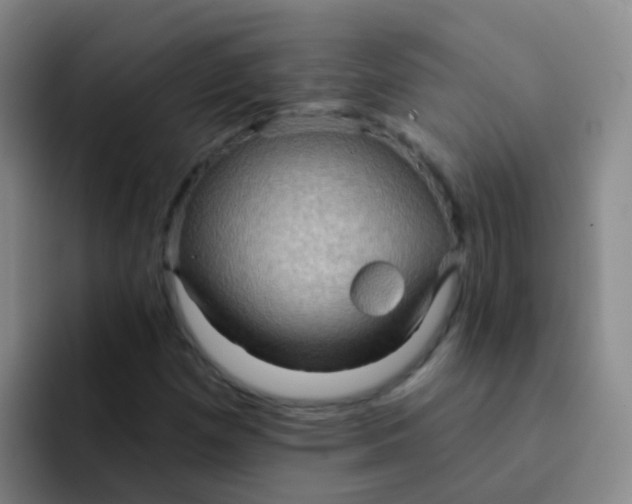 X0000091931257200709261908