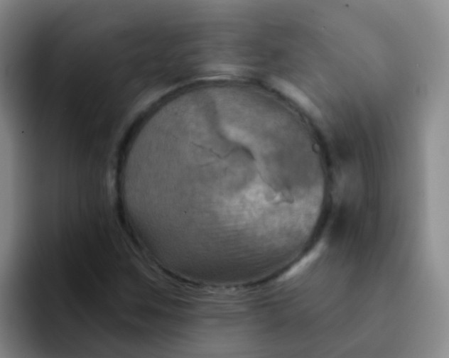 X0000091931259200709261908