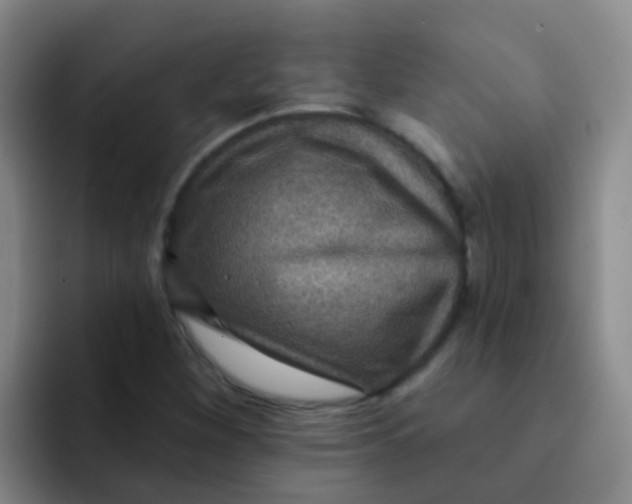 X0000091931260200709261908