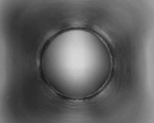 X0000091931261200709261908