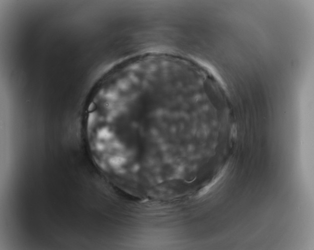 X0000091931263200709261908