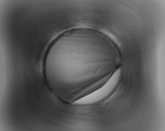 X0000091931264200709261908