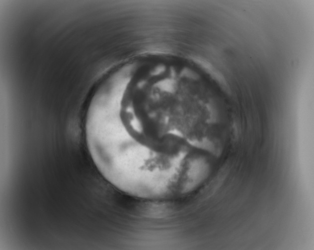 X0000091931266200709261908