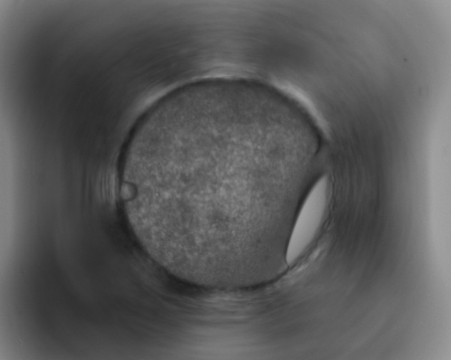 X0000091931267200709261908