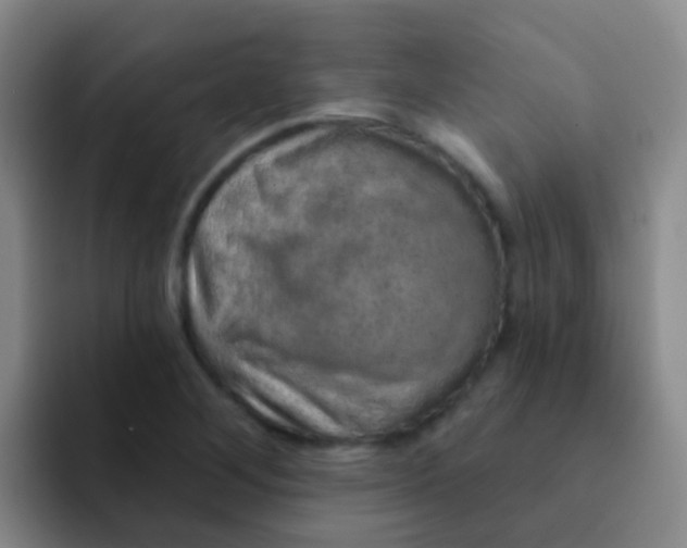 X0000091931268200709261908