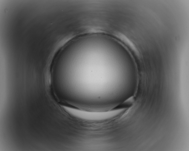 X0000091931269200709261908
