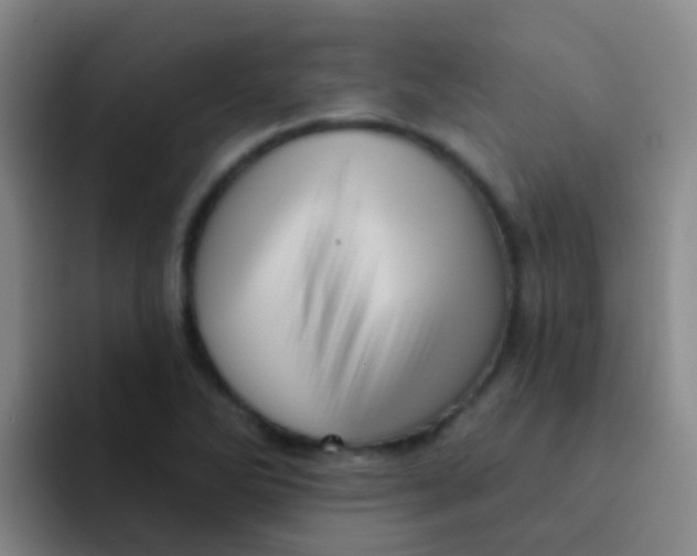 X0000091931270200709261908