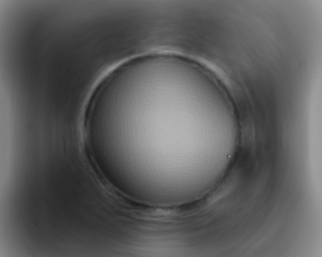 X0000091931271200709261908