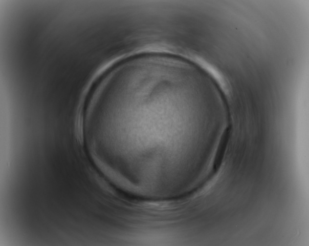 X0000091931272200709261908
