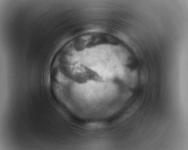 X0000091931274200709261907