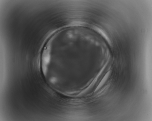 X0000091931275200709261907