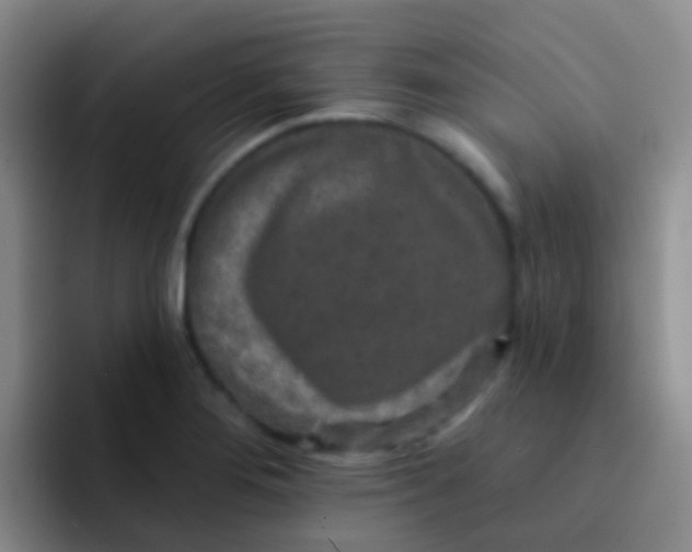 X0000091931276200709261907