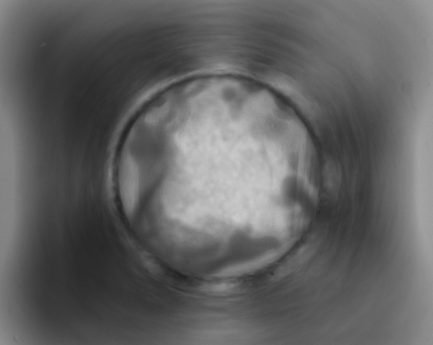 X0000091931278200709261907