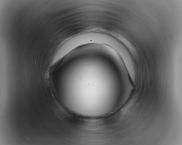 X0000091931281200709261907