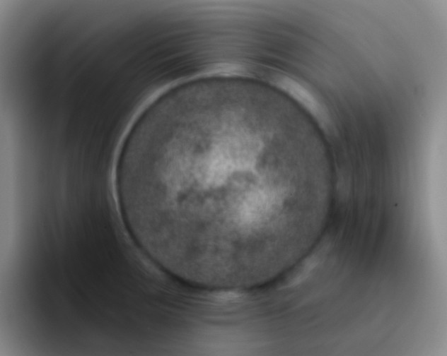 X0000091931283200709261907