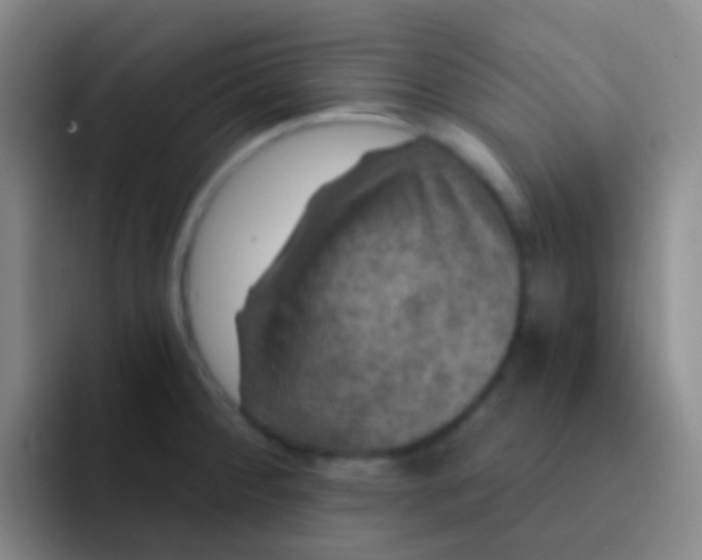 X0000091931284200709261907