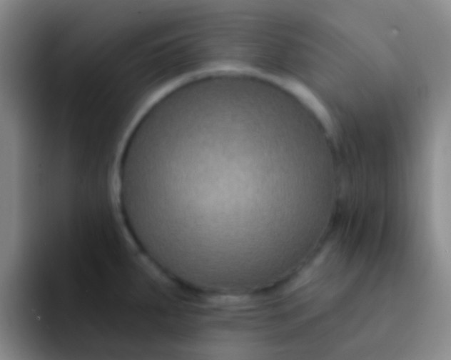 X0000091931287200709261907