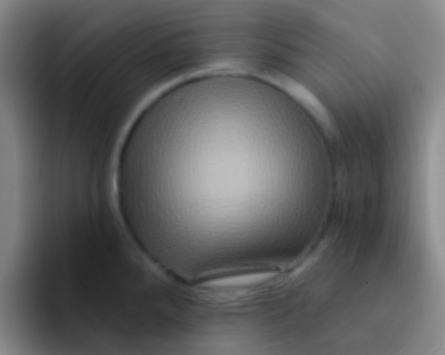 X0000091931288200709261907