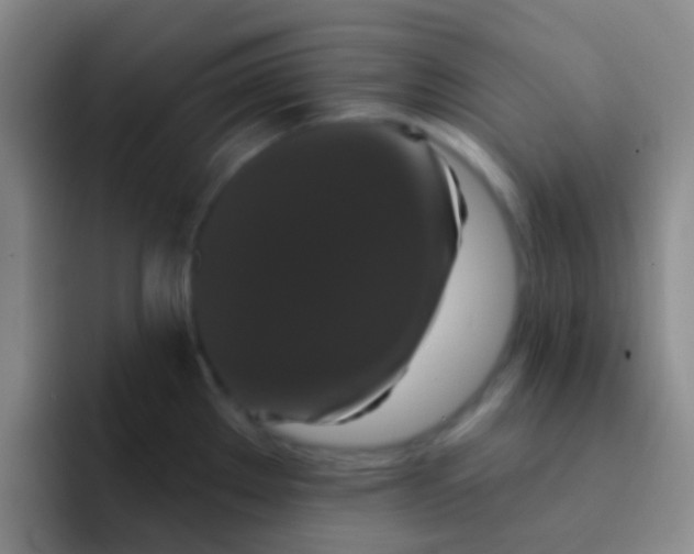 X0000091931289200709261907