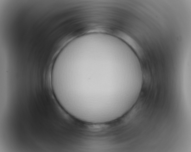 X0000091931290200709261907