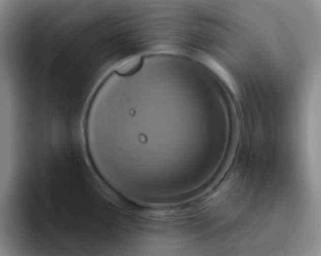 X0000091931291200709261907