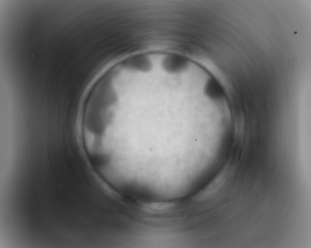 X0000091931294200709261907