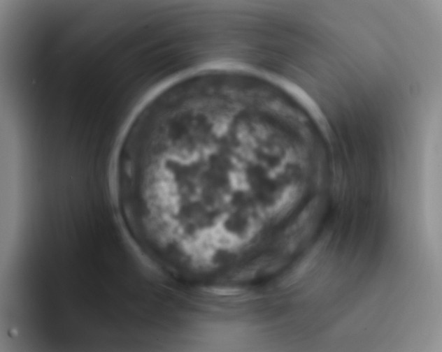 X0000091931295200709261907