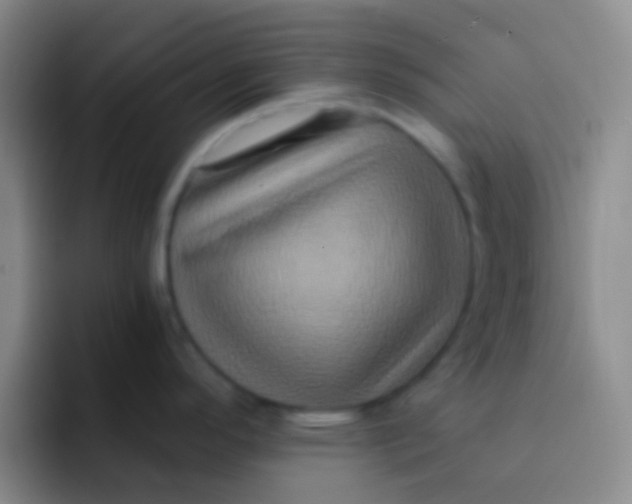 X0000091931296200709261907