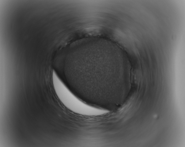 X0000091931298200709261907