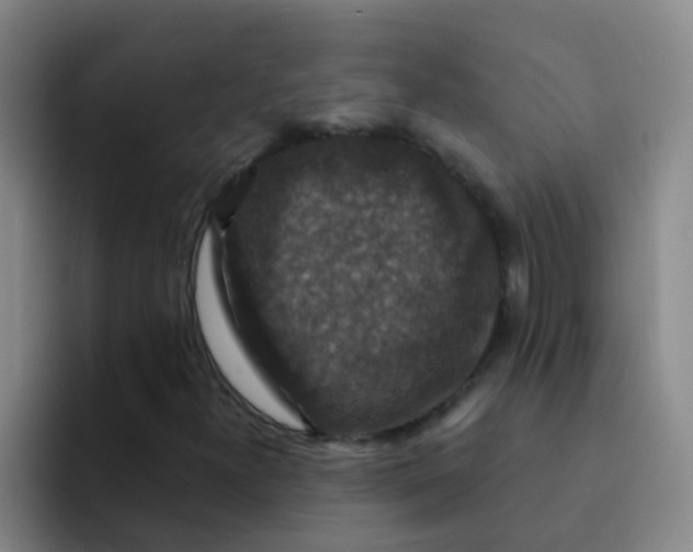 X0000091931300200709261907