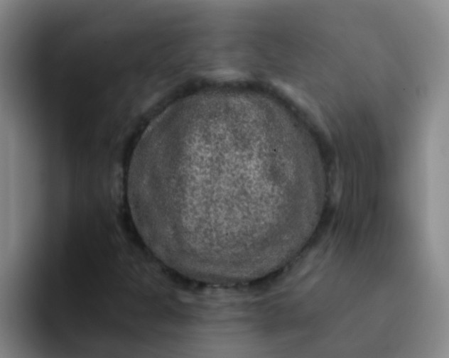X0000091931301200709261907