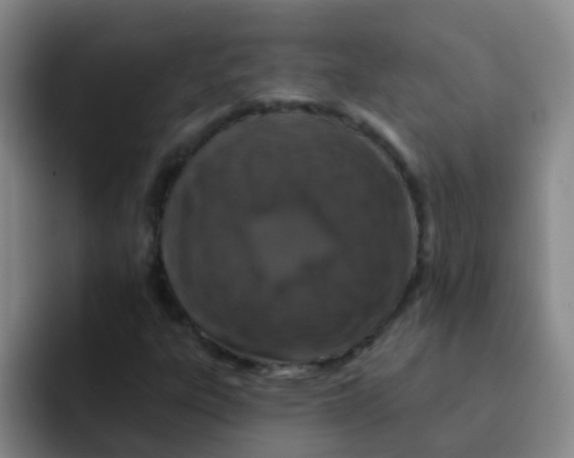 X0000091931303200709261907