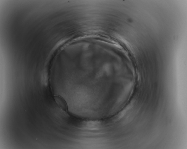 X0000091931306200709261907