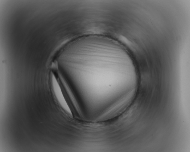 X0000091931307200709261907