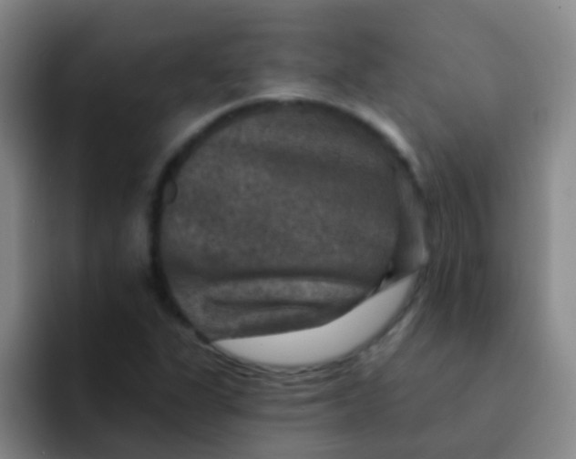 X0000091931311200709261907
