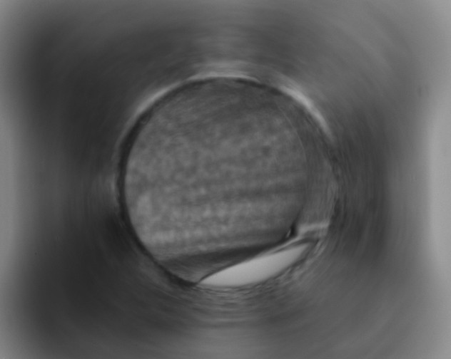 X0000091931312200709261907