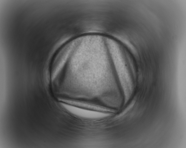 X0000091931317200709261907