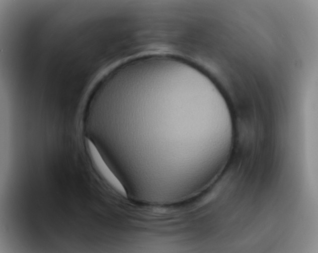 X0000091931318200709261907