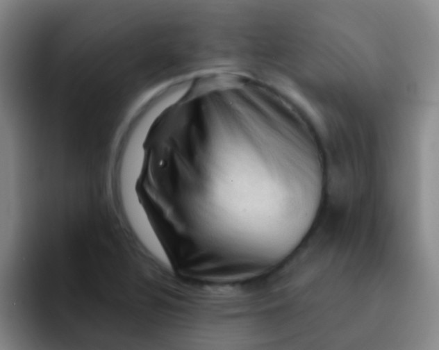 X0000091931320200709261907