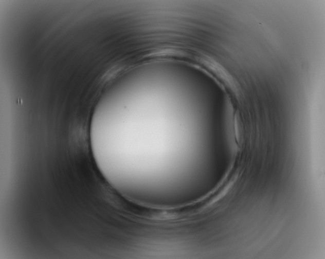 X0000091931321200709261907
