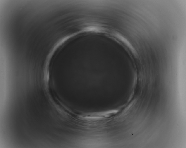 X0000091931323200709261907