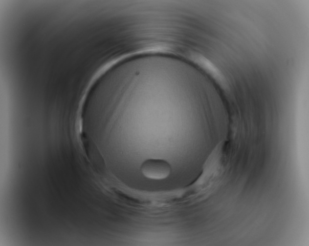 X0000091931324200709261907
