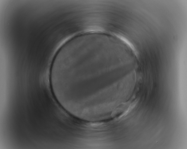 X0000091931325200709261907