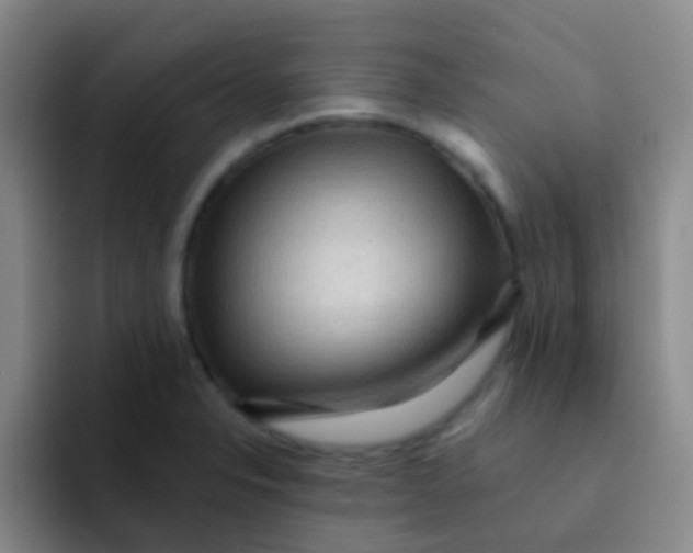 X0000091931326200709261907