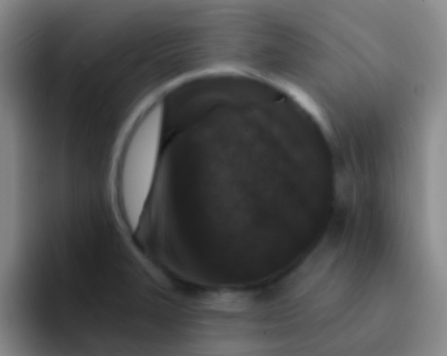 X0000091931327200709261907