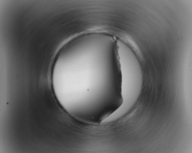 X0000091931328200709261907