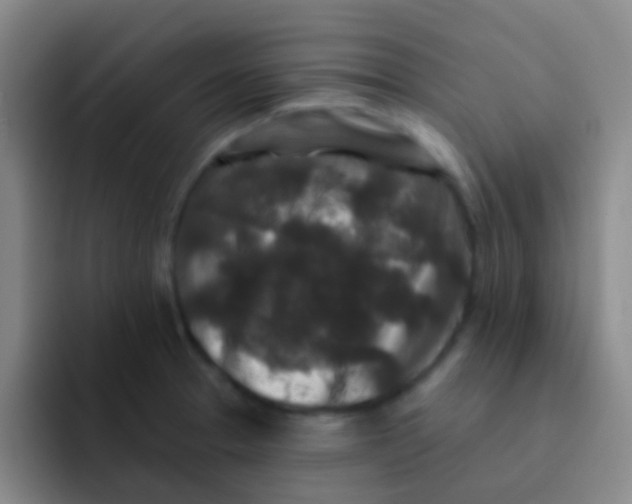 X0000091931329200709261907